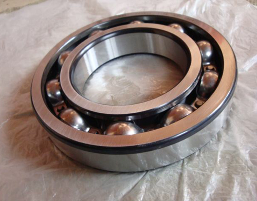 bearing 6204 TNH